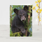 Carte Black Bear Cub Jouer dans les arbres (Fleur jaune)