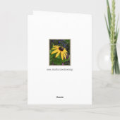 Carte Black Eyed Susan (Dos)