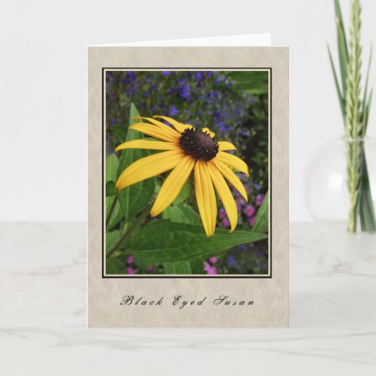 Carte Black Eyed Susan (Devant)