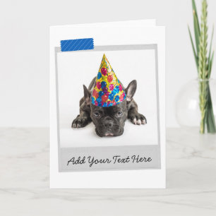 Carte Black French Bulldog Frenchie Funny Card