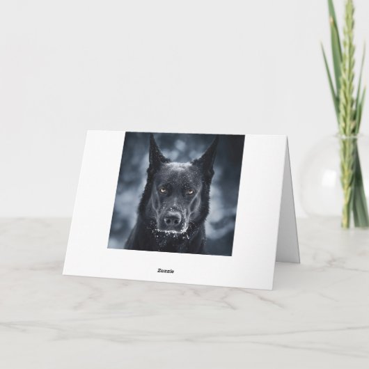 Carte Black German Shepherd (Dos)