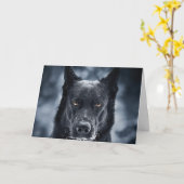 Carte Black German Shepherd (Fleur jaune)
