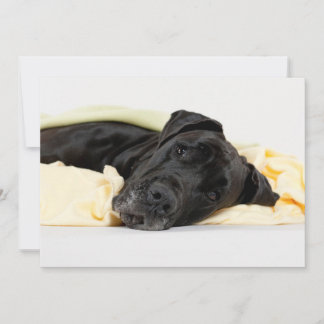 Carte Black Great Dane - Deutsche Dogge schwarz