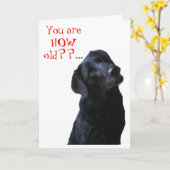 Carte Black Lab Chien Tipping Tête à souhaiter un joyeux (Fleur jaune)