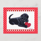 Carte Black Lab Puppy Valentine's Day (Devant)