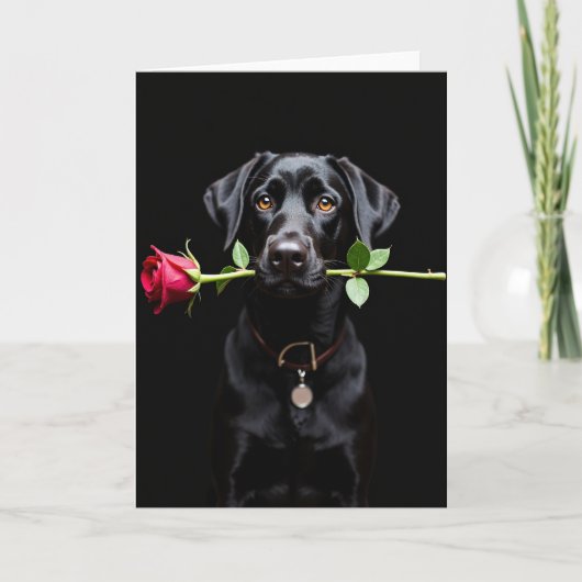 Carte Black Lab Rose Valentine Card (Devant)