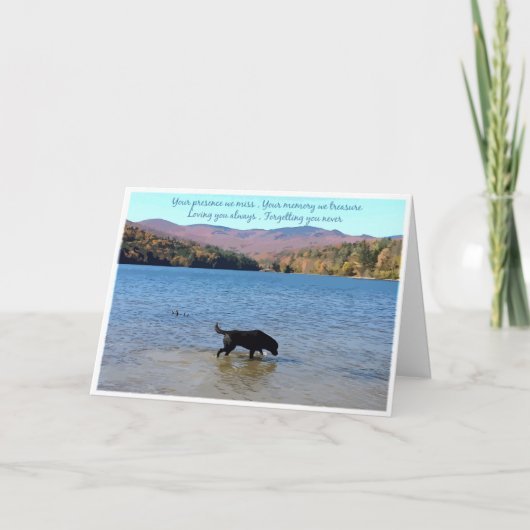 Carte Black Lab Sympathy - Sympathy chien - Perte  (Devant)