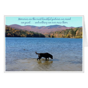 Carte Black Lab Sympathy - Sympathy chien - Perte 