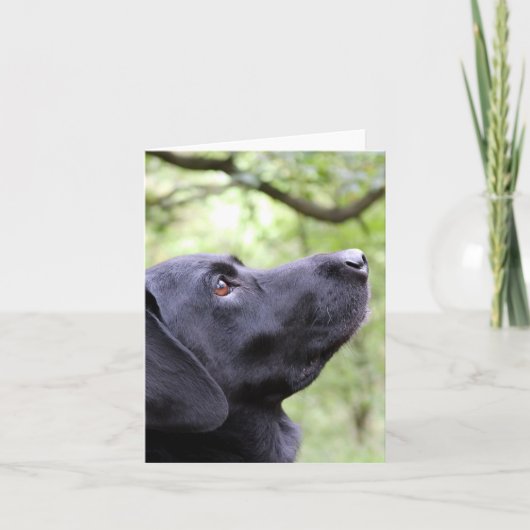 Carte Black Labrador (Devant)