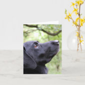 Carte Black Labrador (Fleur jaune)
