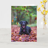 Carte Black Labrador Dans Les Feuilles Automnes (Fleur jaune)