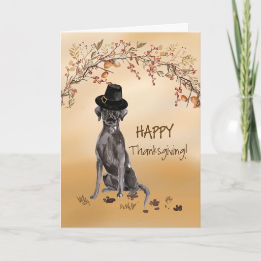 Carte Black Labrador Funny Pilgrim Casquette Thanksgivin (Devant)