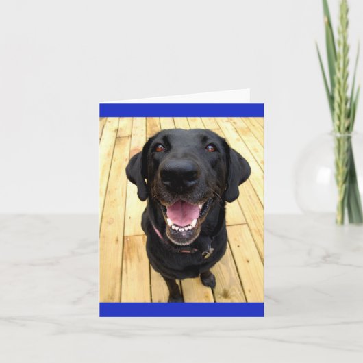 Carte Black Labrador Retriever Chien Chien Chien Blanc C (Devant)