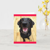 Carte Black Labrador Retriever Chien Chien Chien Blanc C (Fleur jaune)