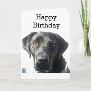 Carte Black Labrador Retriever Joyeux anniversaire