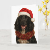 Carte Black Sprocker / Springer Spaniel Christmas card (Fleur jaune)