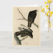 Carte Black Warrior (Buse à queue rouge) d'Audubon Birds (Fleur jaune)