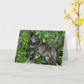 Carte Black Wolf with Red Berries (Fleur jaune)