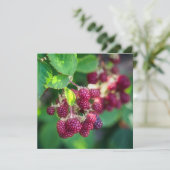 Carte Blackberry (Debout devant)