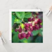 Carte Blackberry (Devant/Arrière en situation)