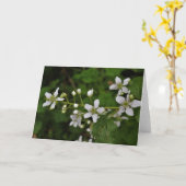 Carte Blackberry Blossoms (Fleur jaune)