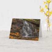 Carte Blackwater Falls State Park (Fleur jaune)