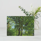 Carte Blackweir Woods, Bute Park, Cardiff Wales (Debout devant)