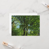 Carte Blackweir Woods, Bute Park, Cardiff Wales (Devant/Arrière en situation)