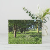 Carte Blackweir Woods, Bute Park, Cardiff Wales (Debout devant)