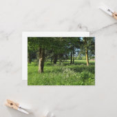 Carte Blackweir Woods, Bute Park, Cardiff Wales (Devant/Arrière en situation)