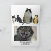 Carte Blagues de chat ampoule lumière sur la petite amie (Intérieur)