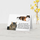 Carte Blagues de chat ampoule lumière sur la petite amie (Fleur jaune)