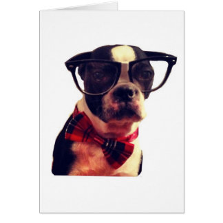 Carte Blair Hipster Boston Terrier