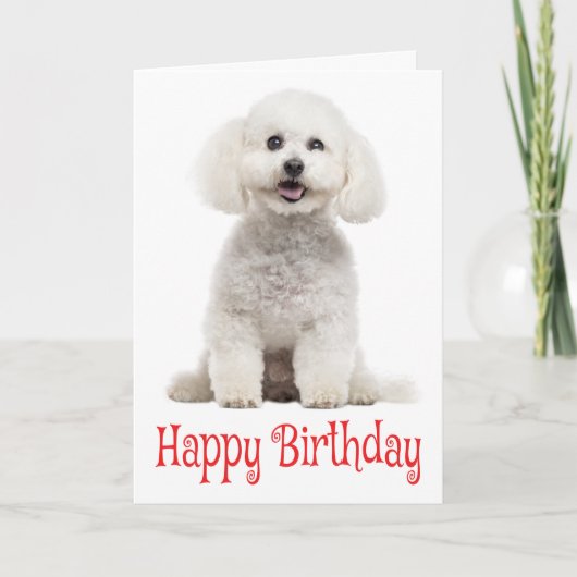 Carte Blanc Bichon Frise Chien Chien Chien Chien Rouge J (Devant)