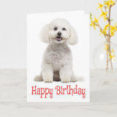 Carte Blanc Bichon Frise Chien Chien Chien Chien Rouge J (Fleur jaune)