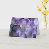 Carte Blanc de lis d'Alstroemeria (Fleur jaune)