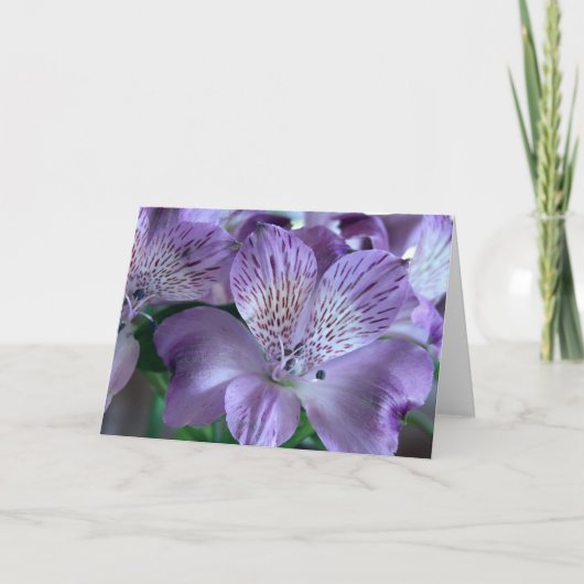 Carte Blanc de lis d'Alstroemeria (Devant)