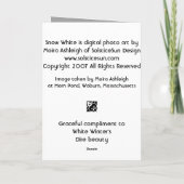 Carte Blanc de neige (Dos)