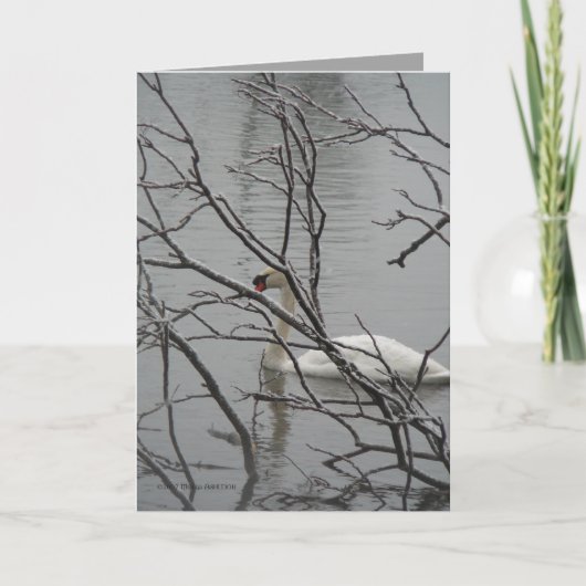 Carte Blanc de neige (Devant)