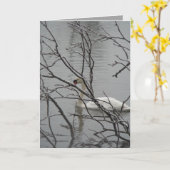 Carte Blanc de neige (Fleur jaune)