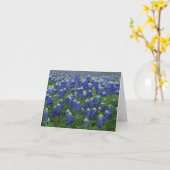 Carte Blanc de photo de Bluebonnets de Texas (Fleur jaune)