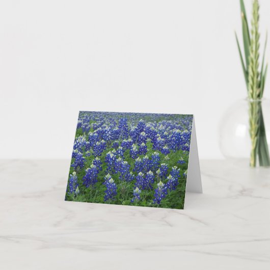 Carte Blanc de photo de Bluebonnets de Texas (Devant)