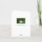 CARTE BLANC LOTUS BLOSSOM (Dos)