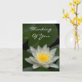 CARTE BLANC LOTUS BLOSSOM (Fleur jaune)