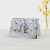 Carte blanche (Fleur jaune)