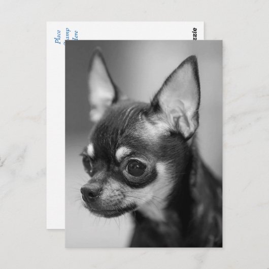 Carte blanche (Devant / Derrière)