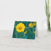 Carte blanche (Devant)