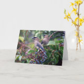 Carte blanche (Fleur jaune)