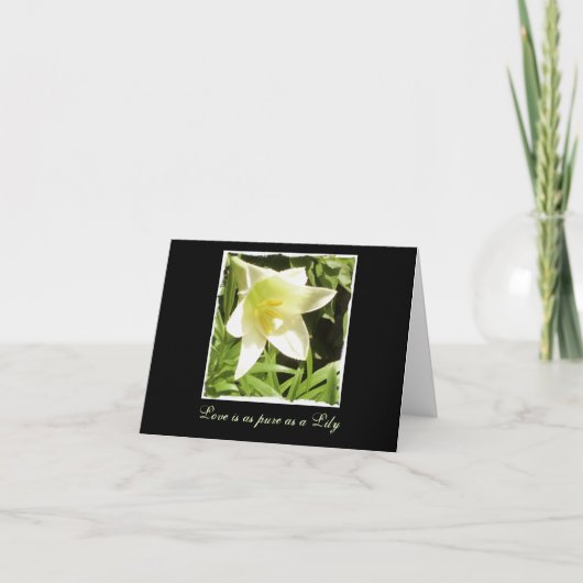 Carte blanche (Devant)