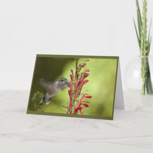 Carte blanche (Devant)